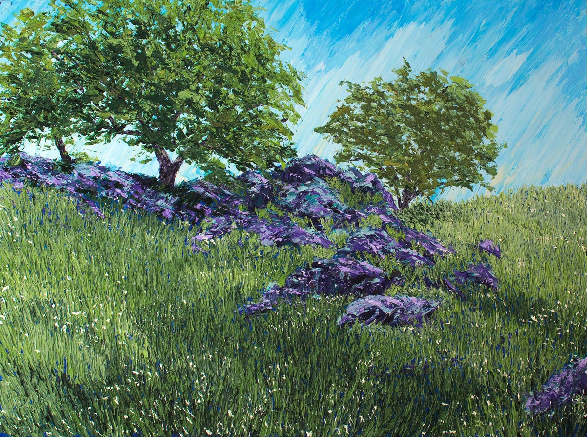 Sierra Mountains, Sierra Foothills, Wild Flowers,
